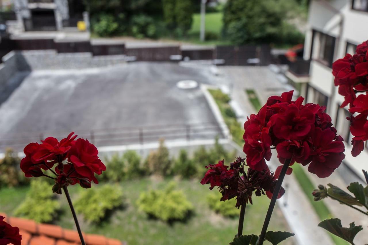 Pensiunea Carmen'S Mansion B Синая Экстерьер фото